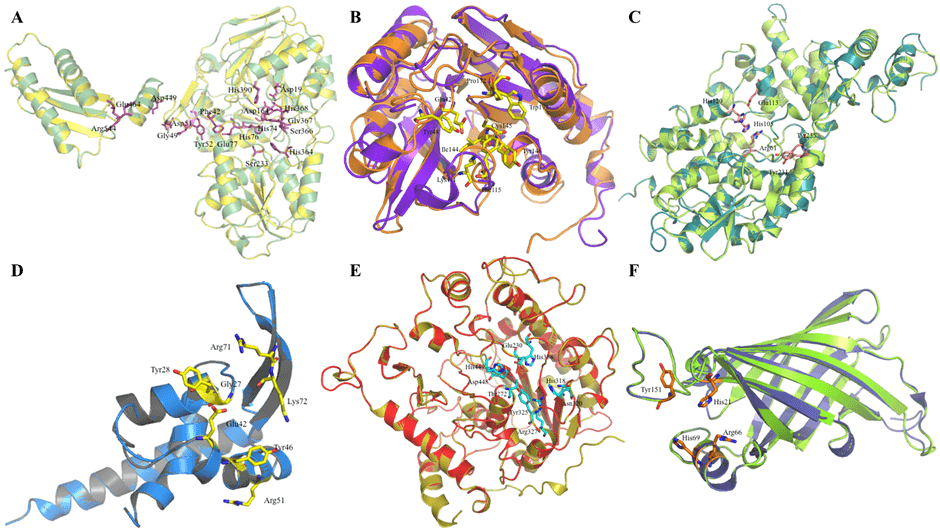 Figure 2. Sequence-based deleterious mutation counts for ARSB shown as a computational summary graph.
