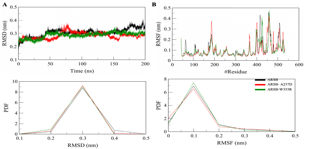 Figure 9. RMSD plot showing overall structural stability and conformational deviations of wild-type and mutant ARSB proteins during the simulation.