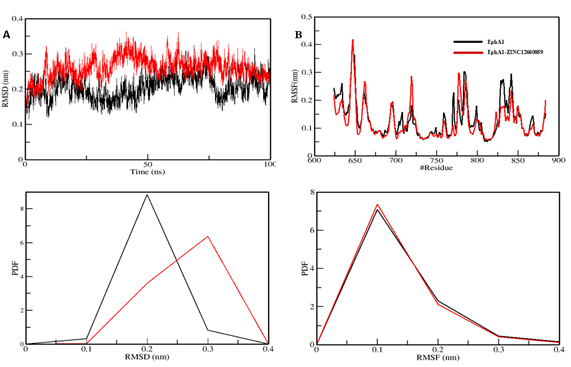 Figure 5. Structural dynamics of EphA1-ZINC12660859 complex. (A) RMSD plot. (B) RMSF plot. The lower panels show the probability distribution functions (PDFs).