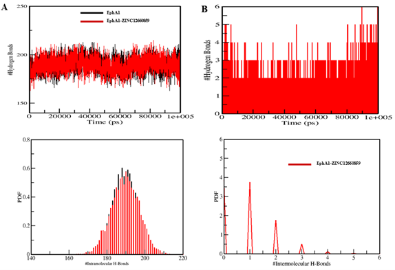 Figure 7. Analysis of hydrogen bonds. (A) Intramolecular H-bonds' temporal progression. (B) Intermolecular H-bonds established between EphA1 and ZINC12660859 within 0.35 nm. The PDF values for the hydrogen-bond distribution are shown in the lower panels. # stands for number.