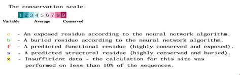 Figure 5. Conserved region of GusB.